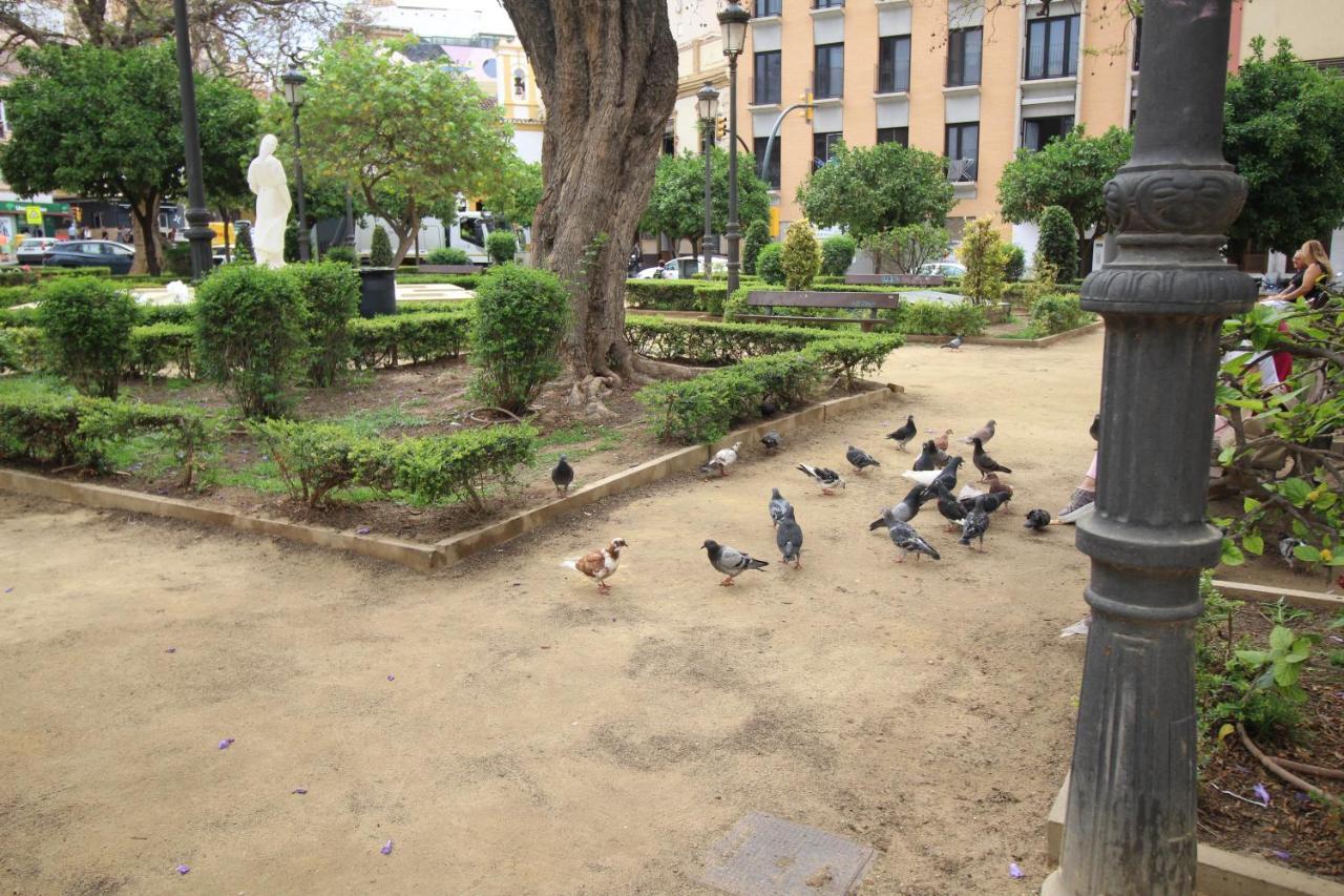 Del Parque Flats Monkey 1 Daire Málaga Dış mekan fotoğraf
